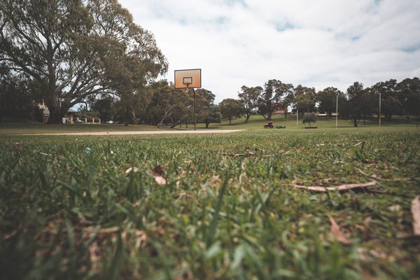 Est-ce que le basket favorise la croissance ?